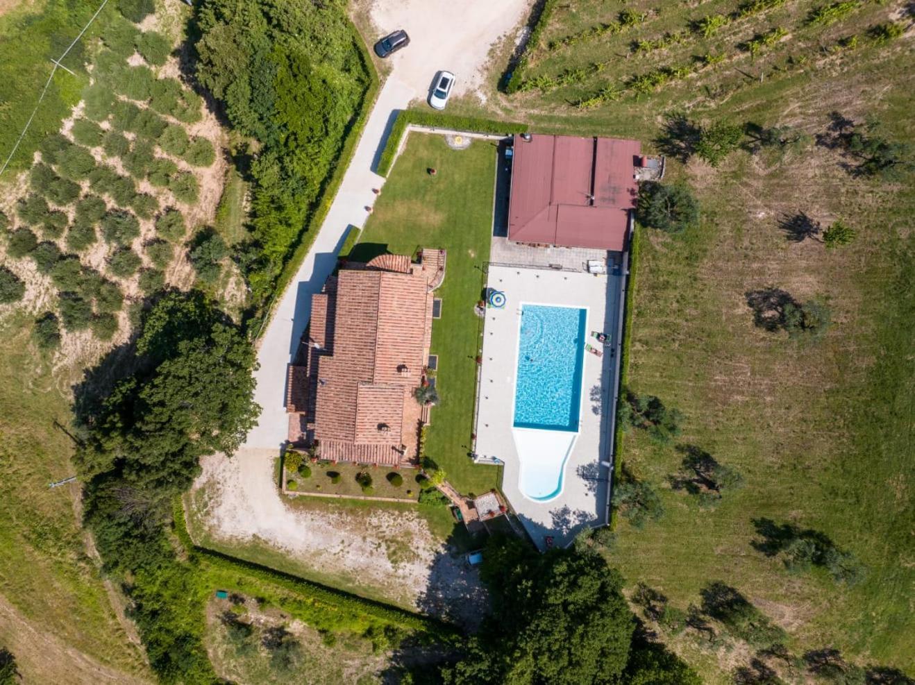 Agriturismo Isola Verde SantʼUrbano Extérieur photo