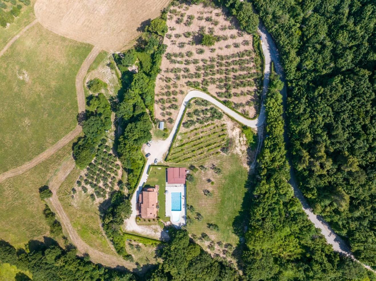 Agriturismo Isola Verde SantʼUrbano Extérieur photo