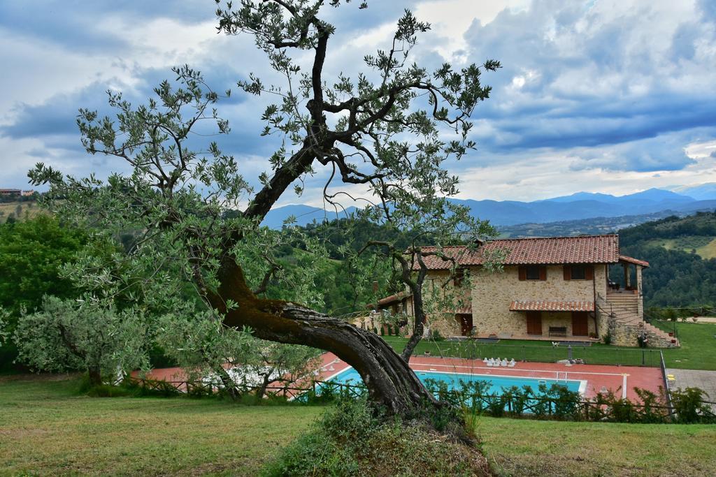 Agriturismo Isola Verde SantʼUrbano Extérieur photo