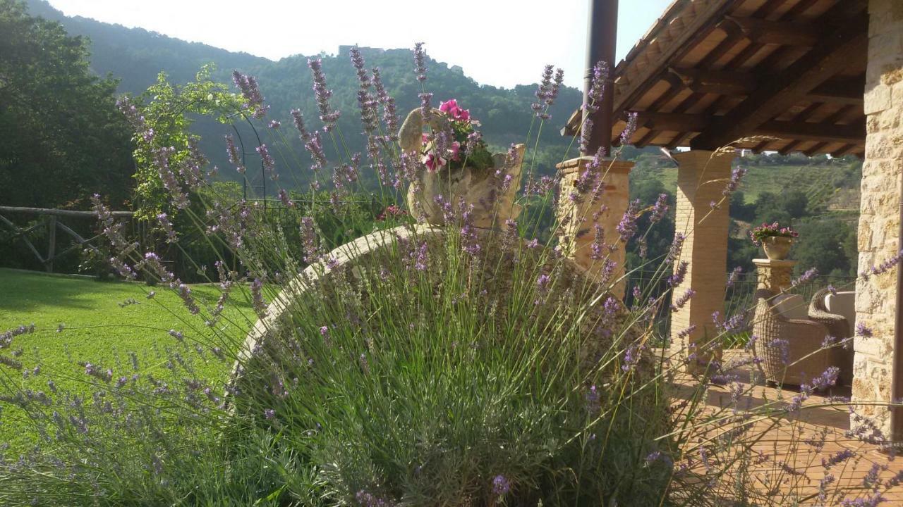 Agriturismo Isola Verde SantʼUrbano Extérieur photo