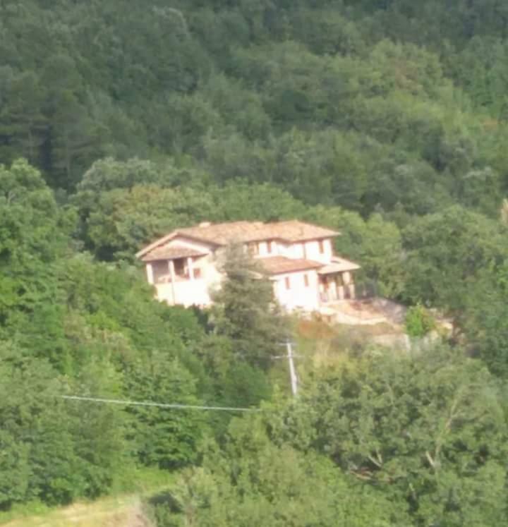 Agriturismo Isola Verde SantʼUrbano Extérieur photo