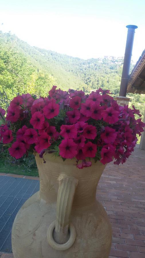 Agriturismo Isola Verde SantʼUrbano Extérieur photo